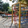 3683.jpg
